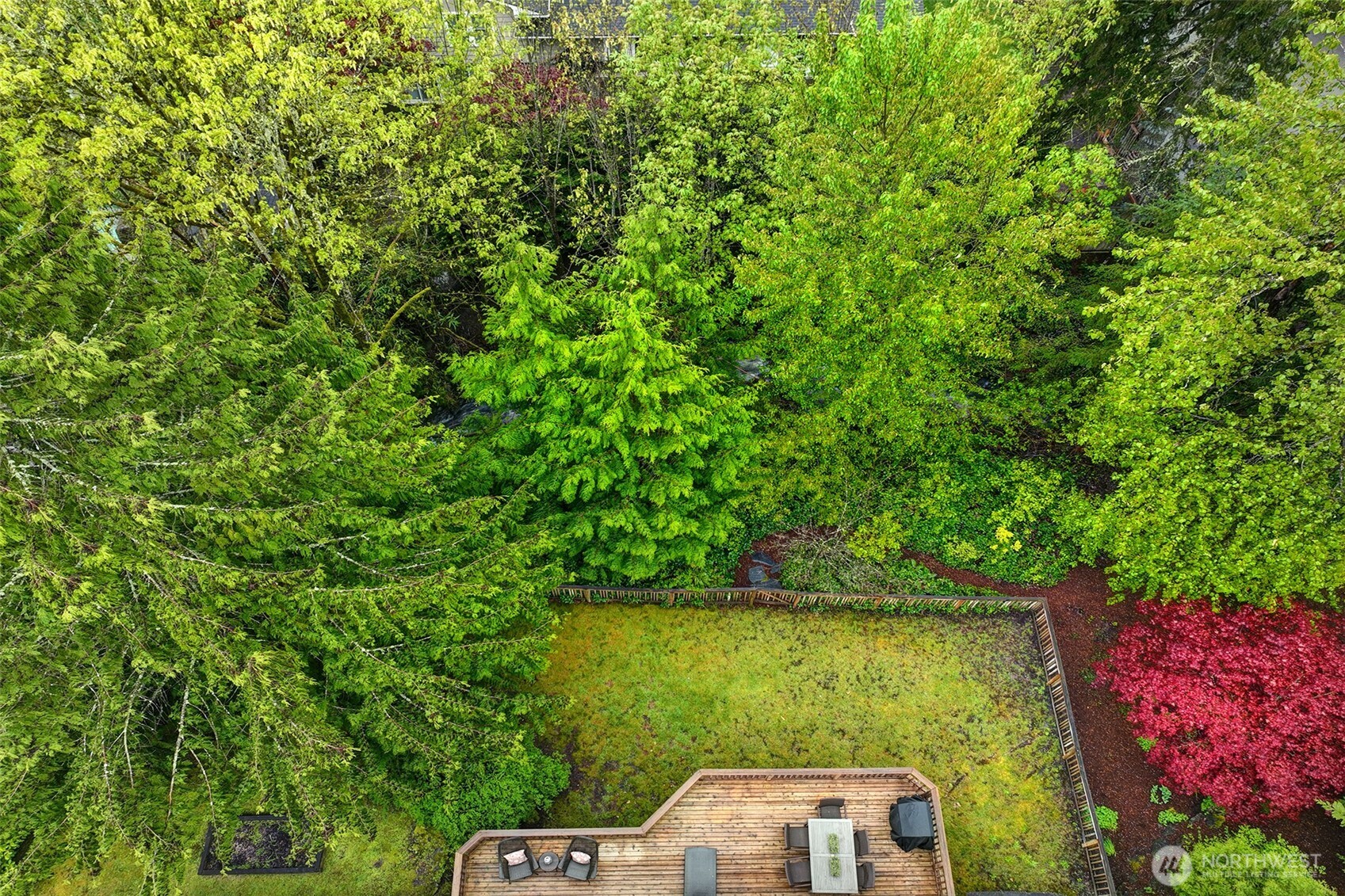 225 131st Avenue NE, Bellevue, WA 98005