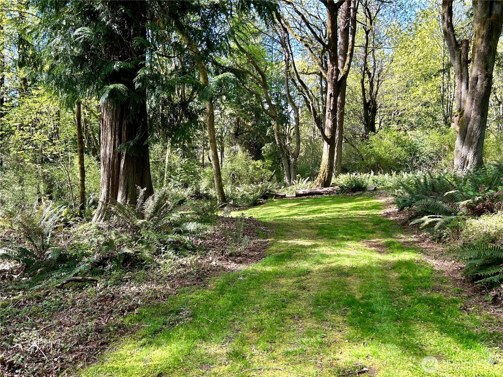 4236 Goatsbeard Lane , Clinton, WA 98236