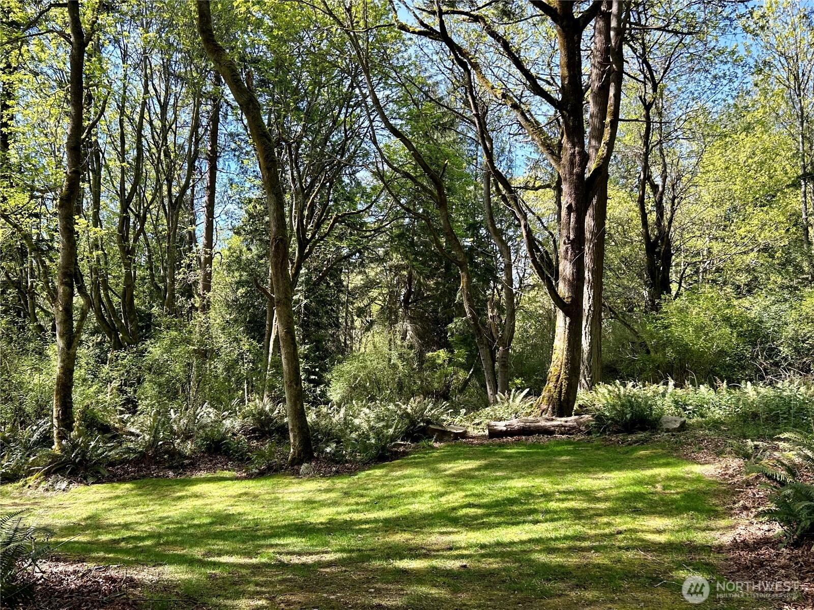 4236 Goatsbeard Lane , Clinton, WA 98236