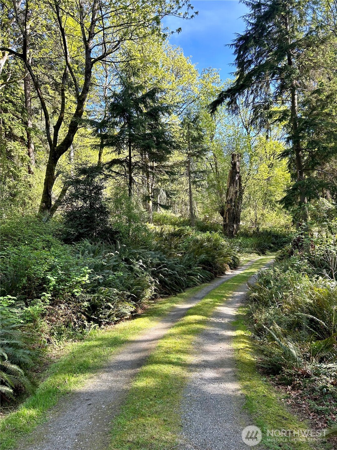 4236 Goatsbeard Lane , Clinton, WA 98236