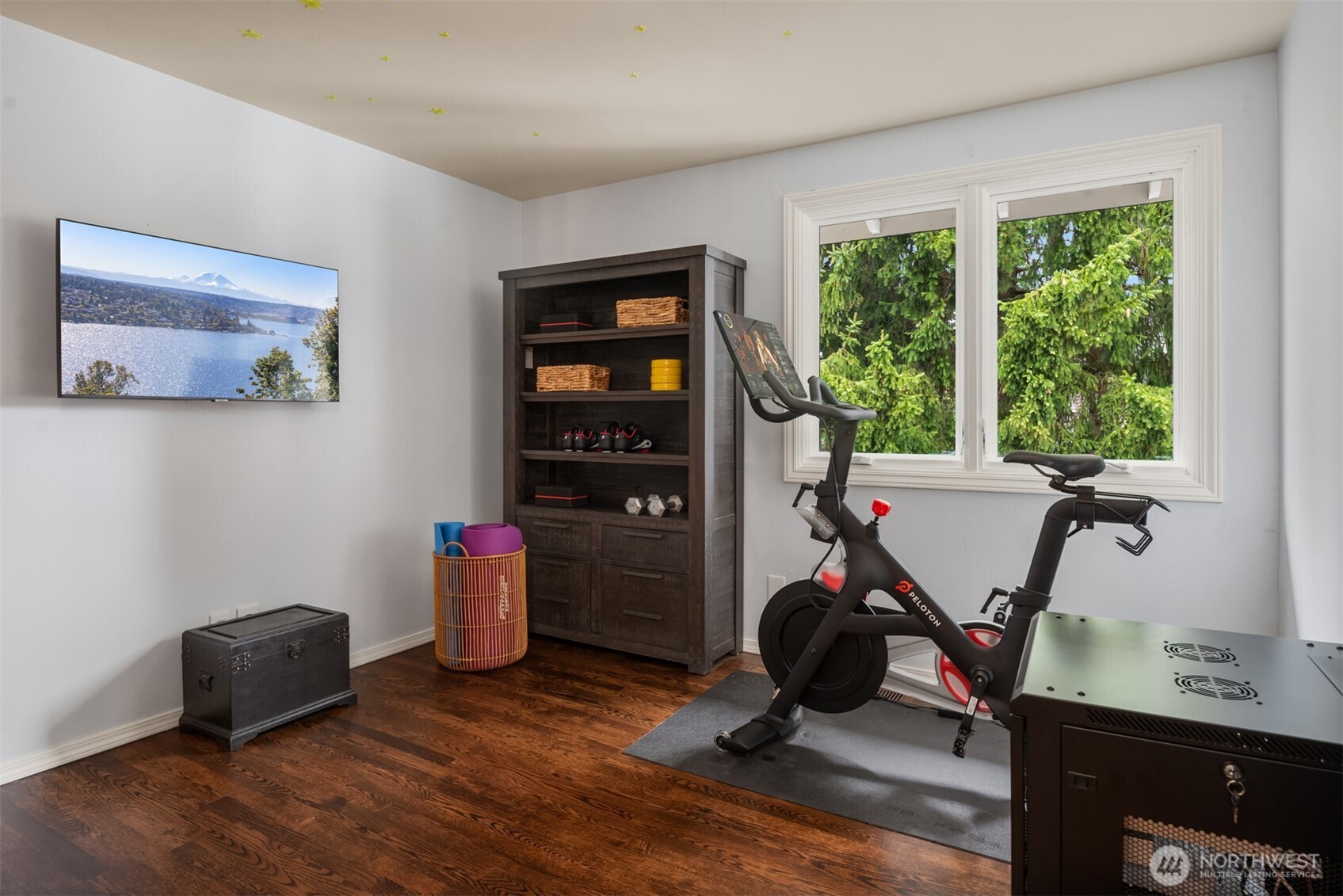 17206 SE 46th Street , Bellevue, WA 98006