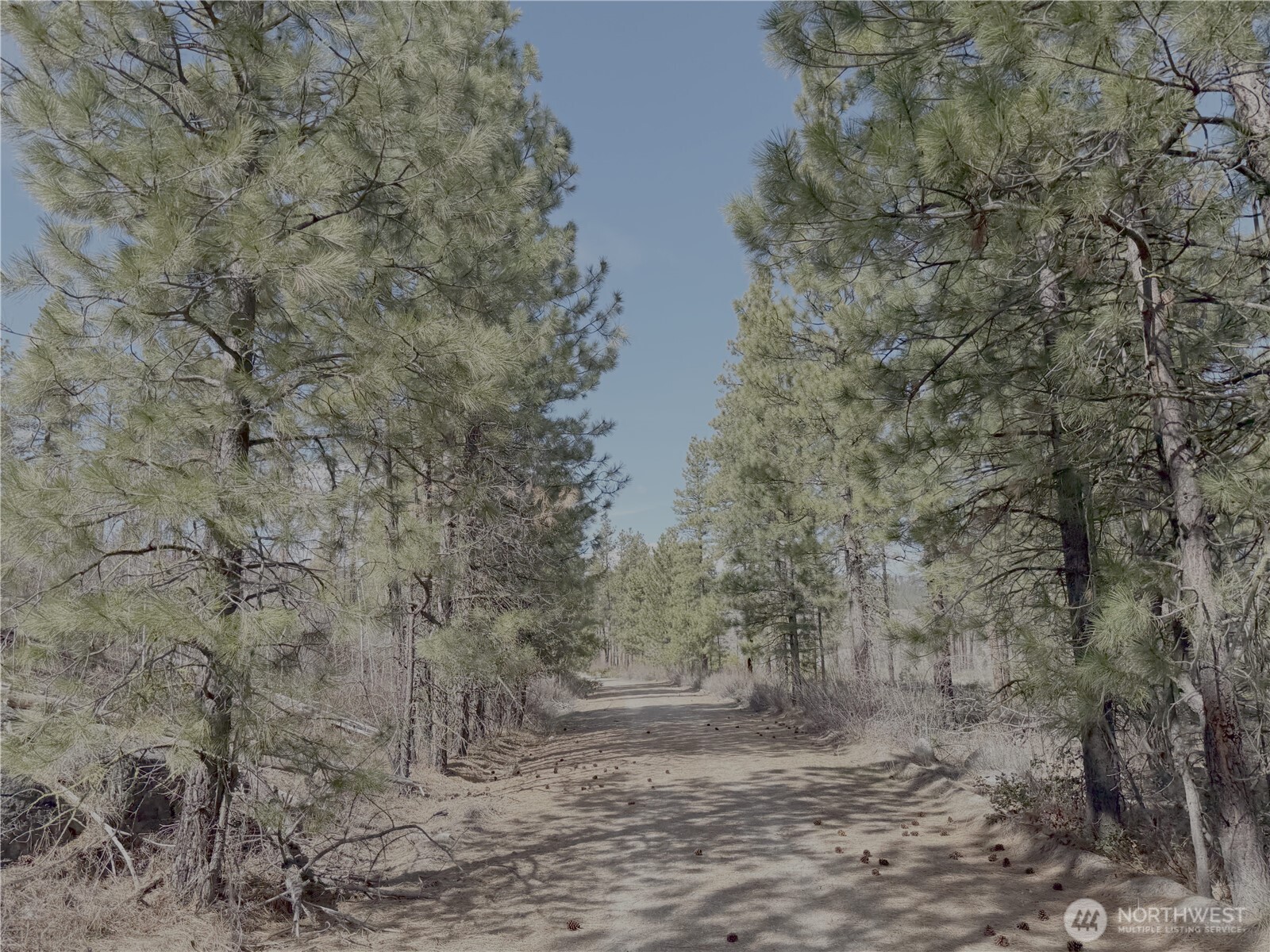 176 Cook Mountain Road N, Okanogan, WA 98840