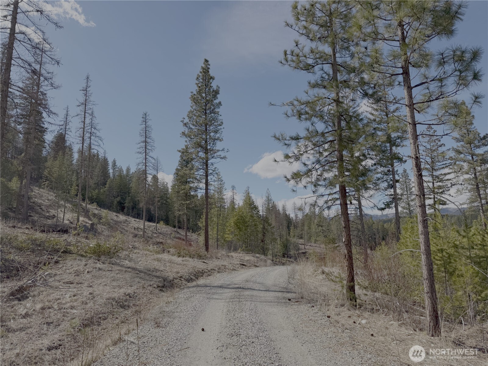 176 Cook Mountain Road N, Okanogan, WA 98840