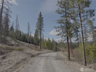 176 Cook Mountain Road N, Okanogan, WA 98840 - Photo 29