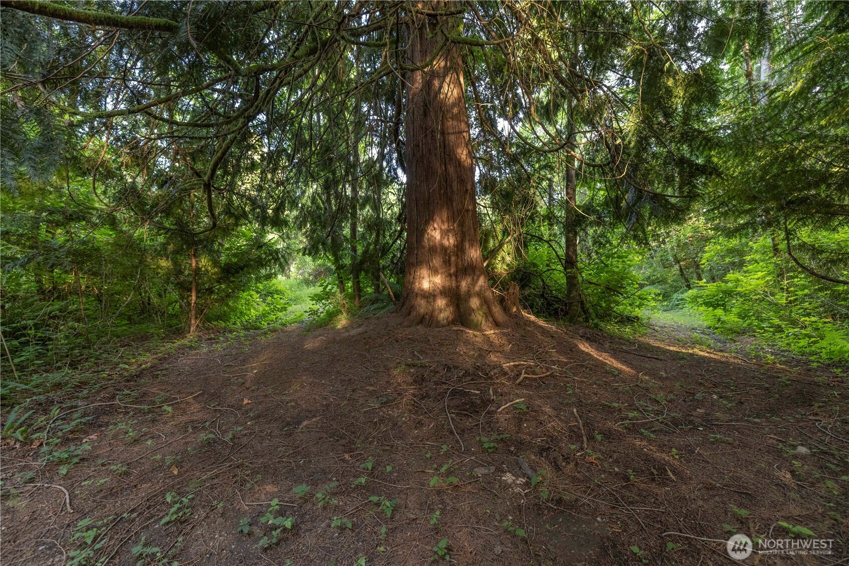 0 163rd Avenue SE, Snohomish, WA 98290