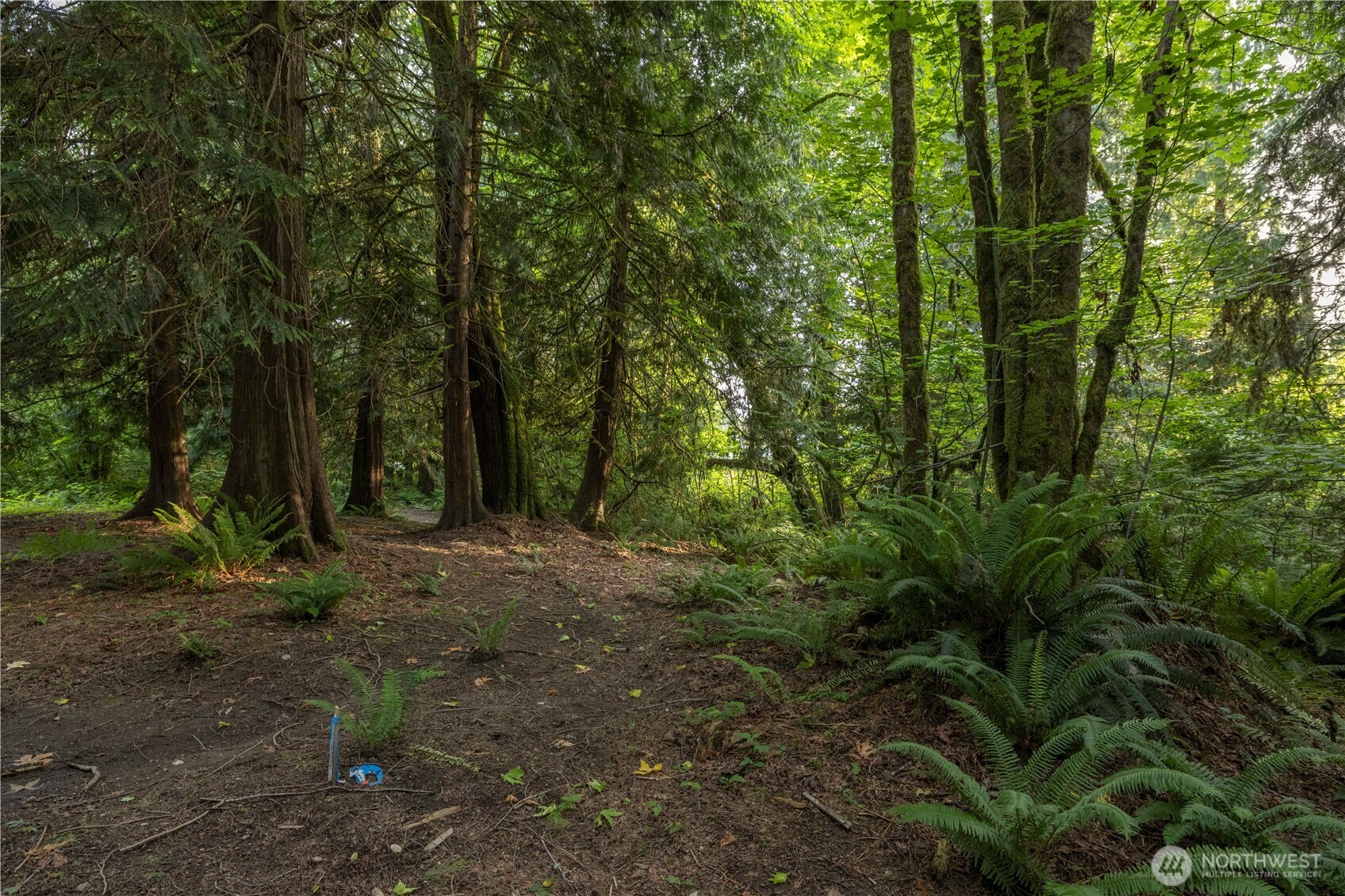0 163rd Avenue SE, Snohomish, WA 98290