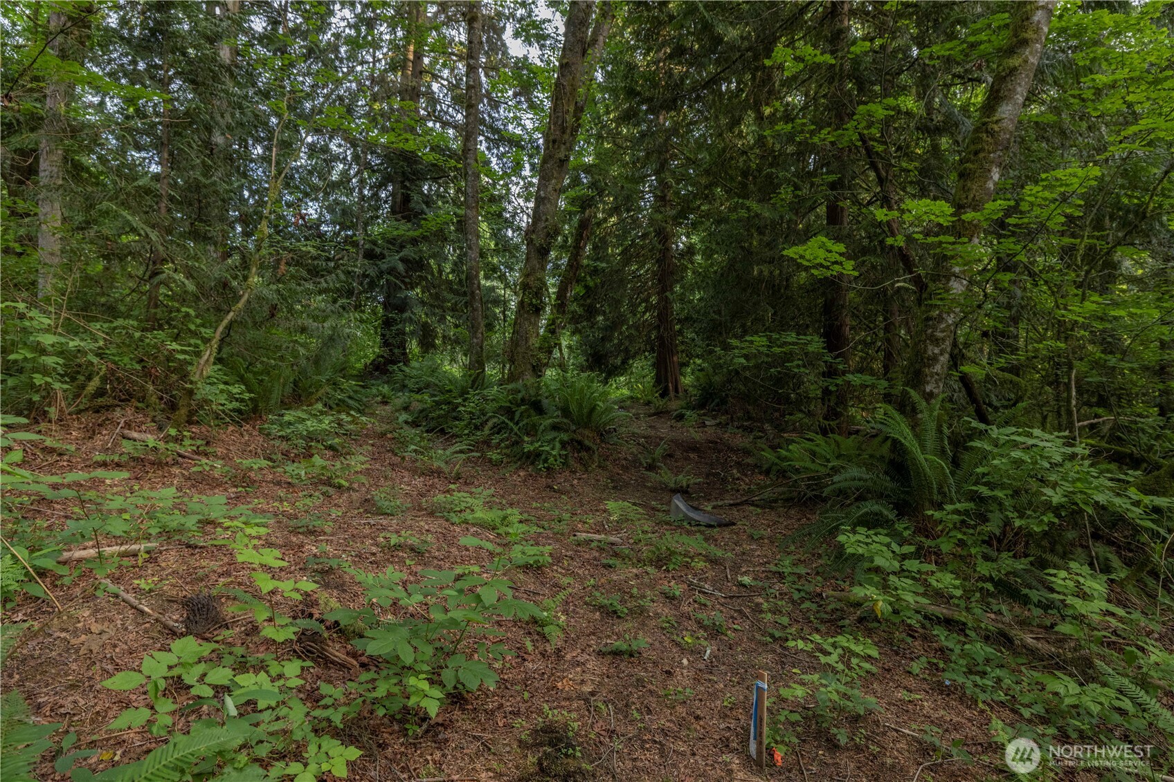 0 163rd Avenue SE, Snohomish, WA 98290