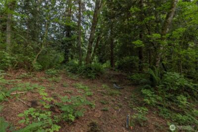0 163rd Avenue SE, Snohomish, WA 98290 - Photo 14
