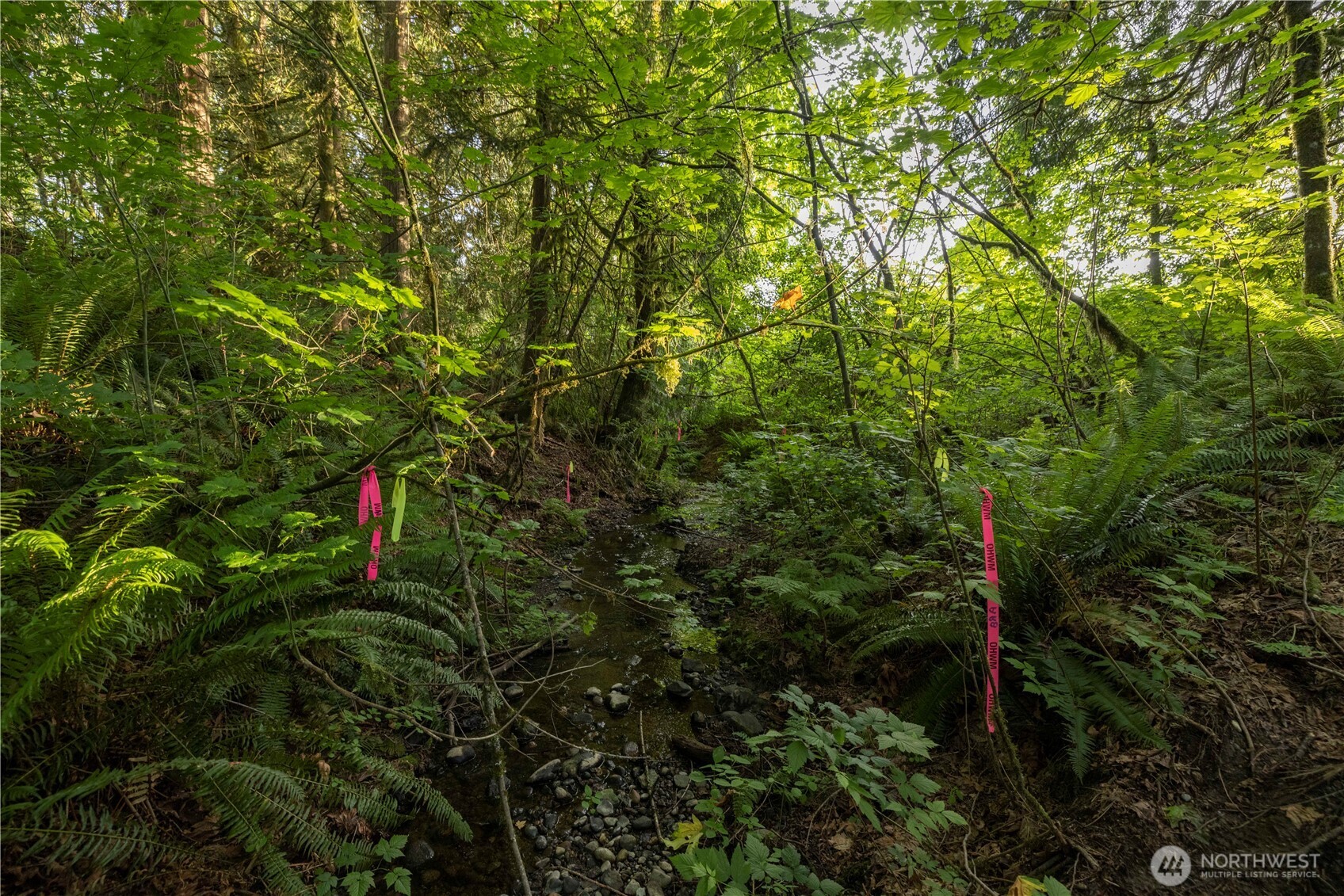 0 163rd Avenue SE, Snohomish, WA 98290