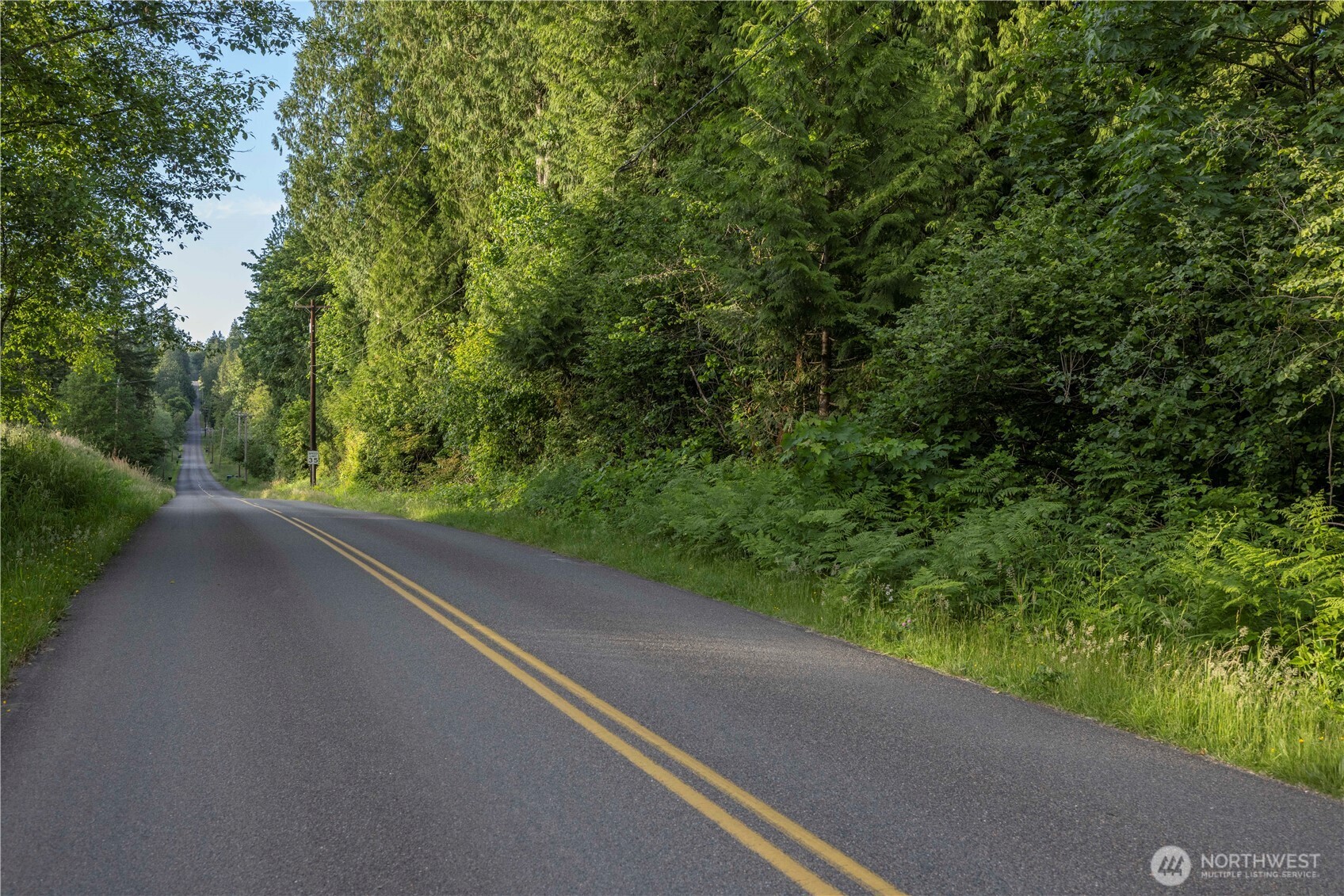 0 163rd Avenue SE, Snohomish, WA 98290