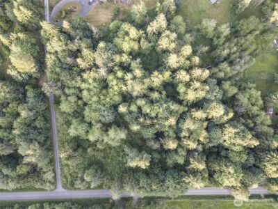 0 163rd Avenue SE, Snohomish, WA 98290 - Photo 6