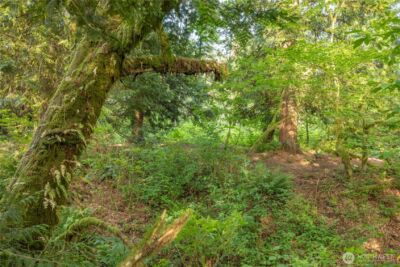 0 163rd Avenue SE, Snohomish, WA 98290 - Photo 7