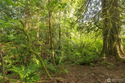 0 163rd Avenue SE, Snohomish, WA 98290 - Photo 8