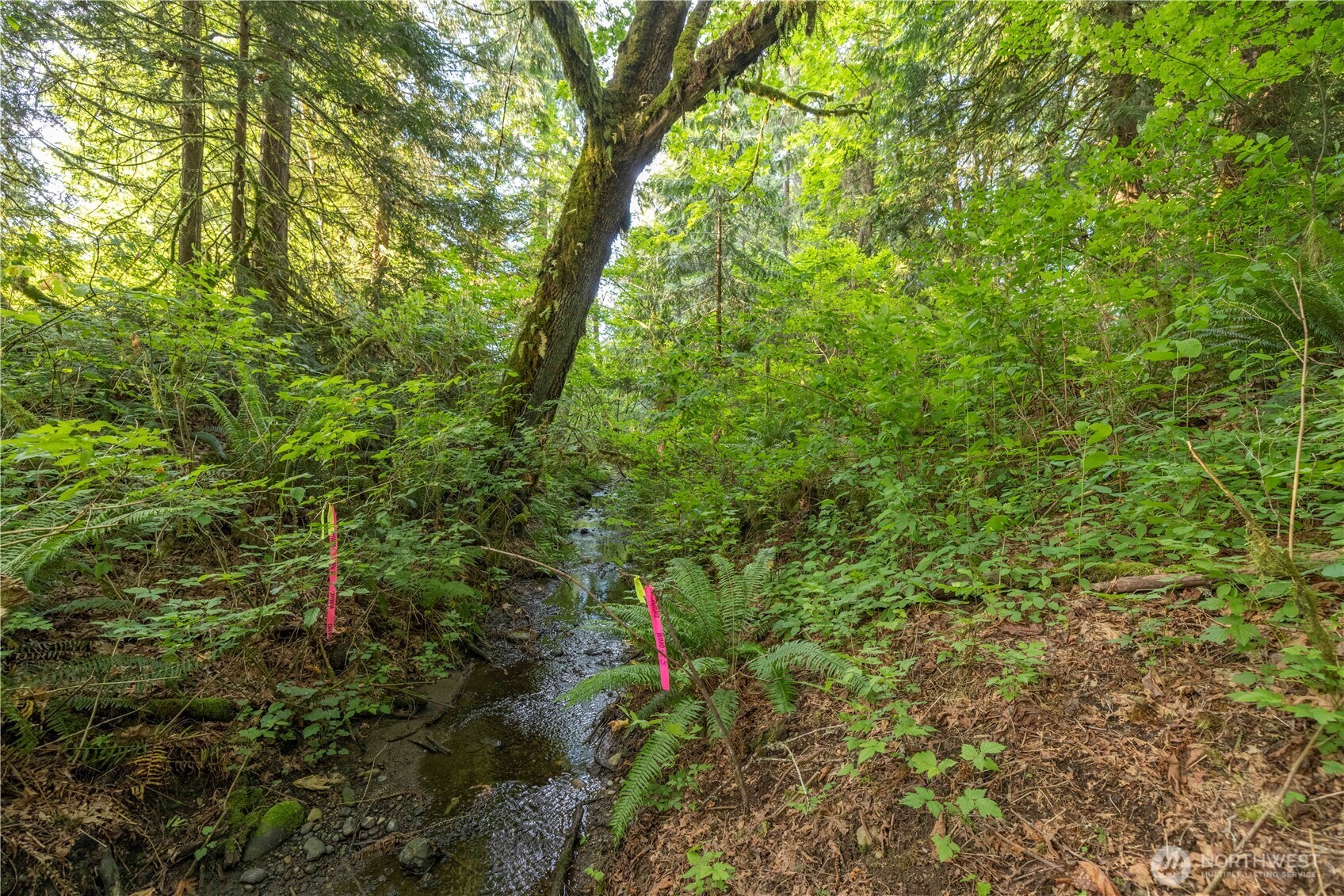 0 163rd Avenue SE, Snohomish, WA 98290