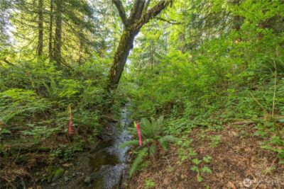 0 163rd Avenue SE, Snohomish, WA 98290 - Photo 9