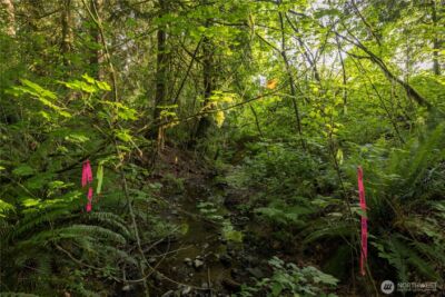0 163rd Avenue SE, Snohomish, WA 98290 - Photo 10