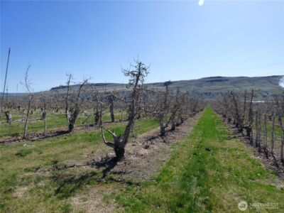 618 Jack Wells Road , Bridgeport, WA 98813 - Photo 14