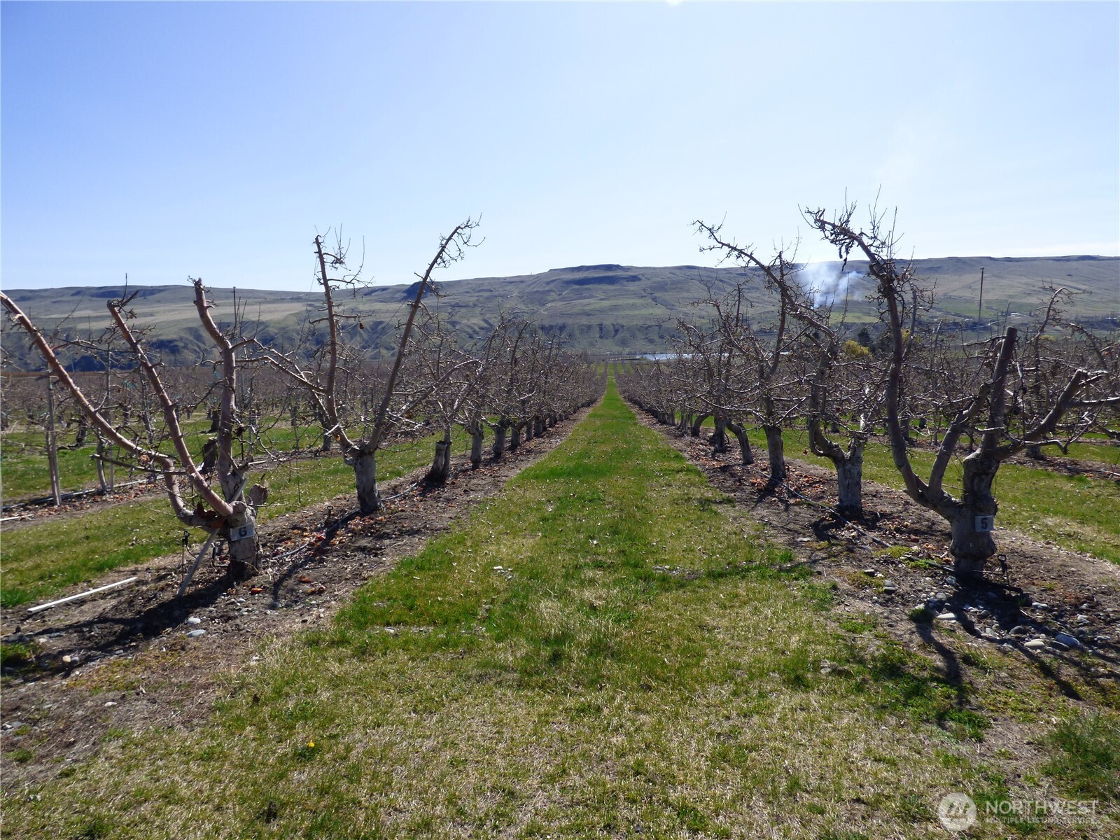 618 Jack Wells Road , Bridgeport, WA 98813