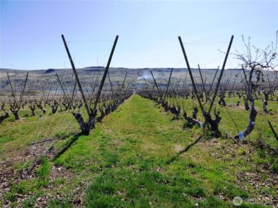 618 Jack Wells Road , Bridgeport, WA 98813 - Photo 16