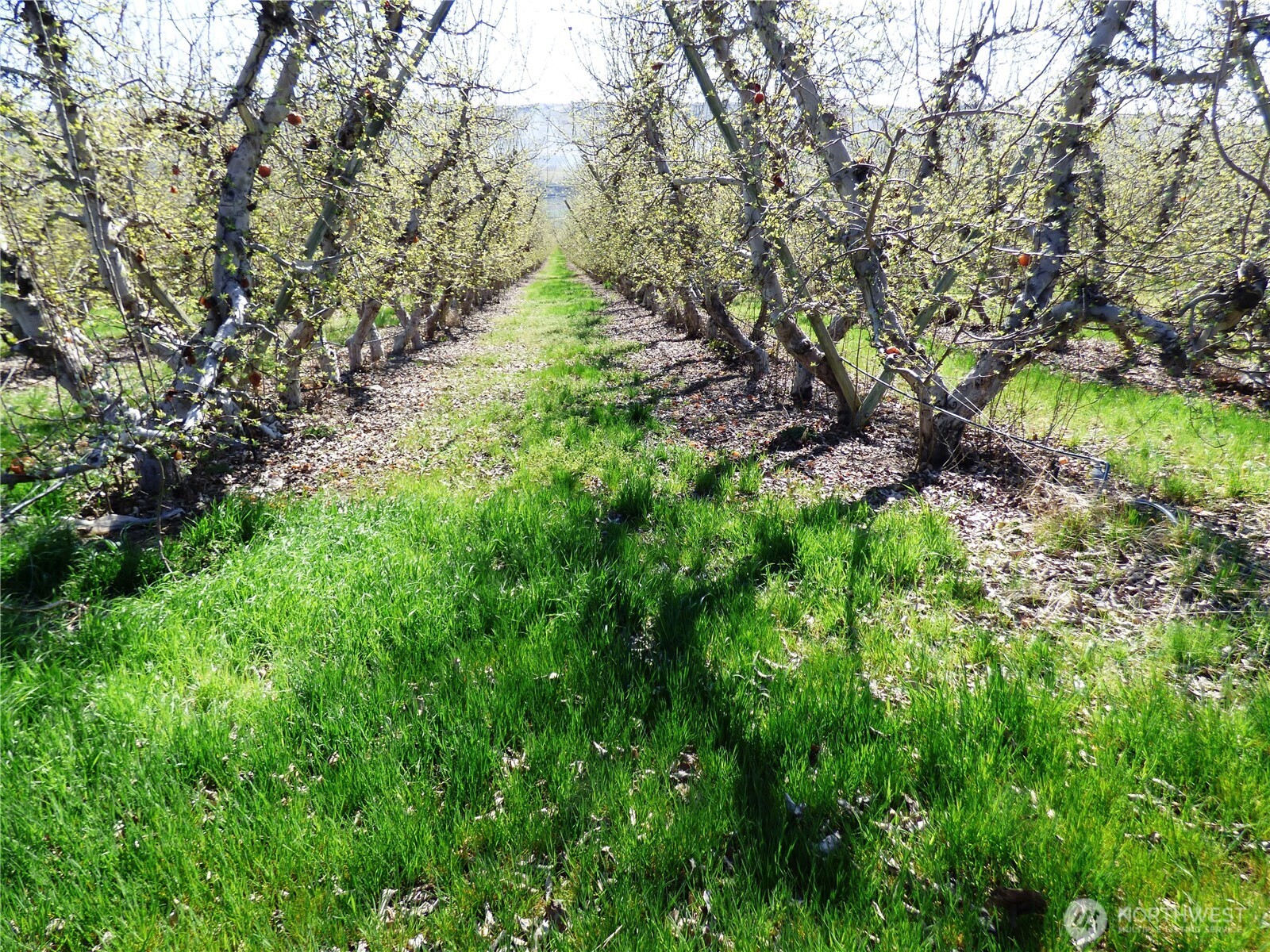 618 Jack Wells Road , Bridgeport, WA 98813