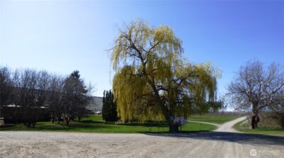 618 Jack Wells Road , Bridgeport, WA 98813 - Photo 3