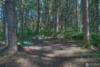 32408 146th Avenue E, Graham, WA 98338 - Photo 38