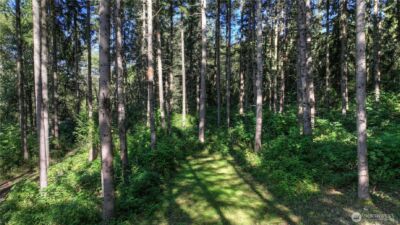 32408 146th Avenue E, Graham, WA 98338 - Photo 39