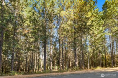 430 Iron Monarch Loop , Cle Elum, WA 98922 - Photo 11