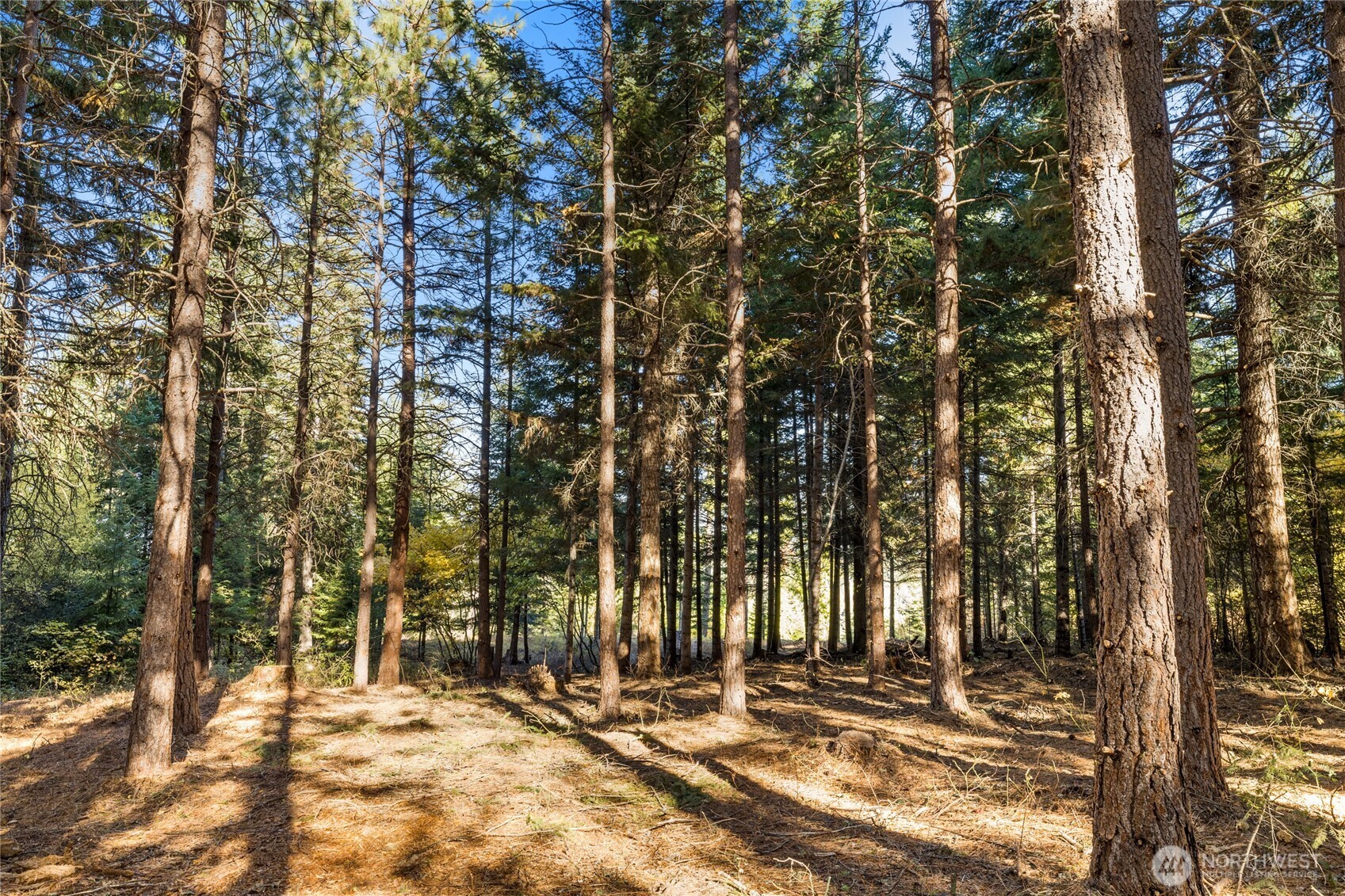 430 Iron Monarch Loop , Cle Elum, WA 98922