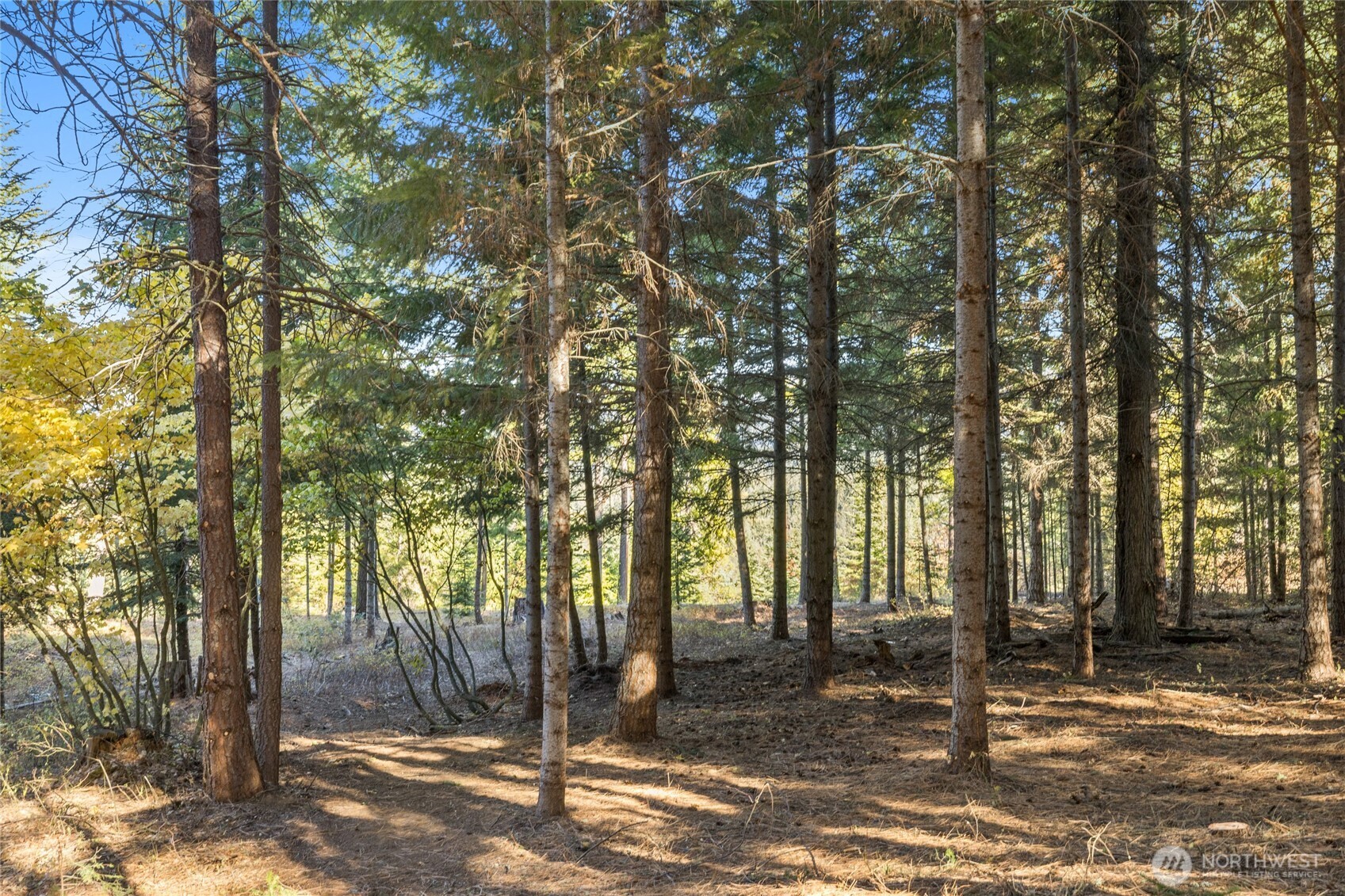 430 Iron Monarch Loop , Cle Elum, WA 98922