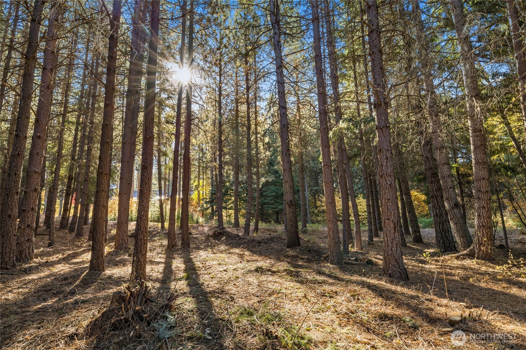 430 Iron Monarch Loop , Cle Elum, WA 98922