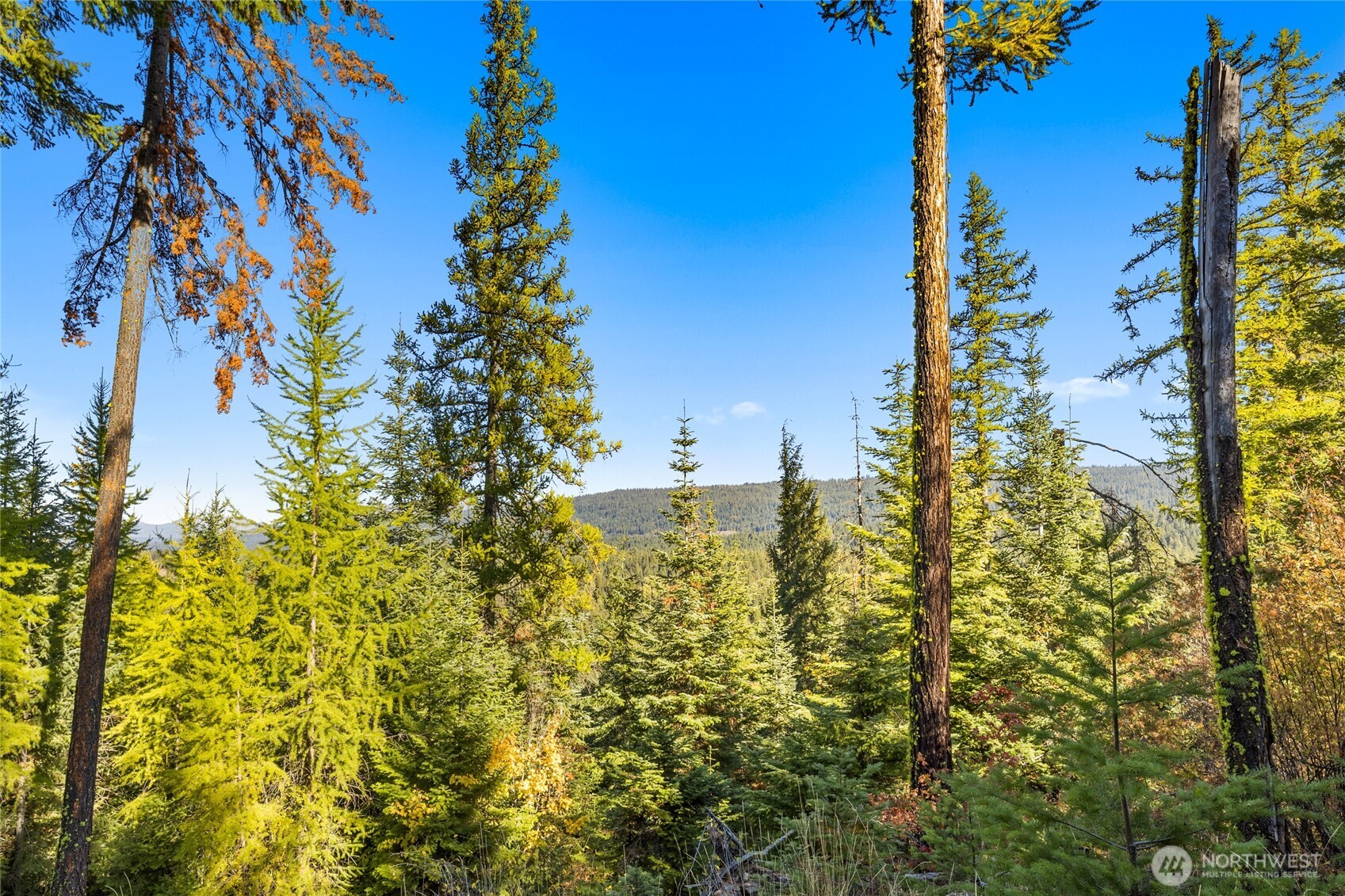 430 Iron Monarch Loop , Cle Elum, WA 98922