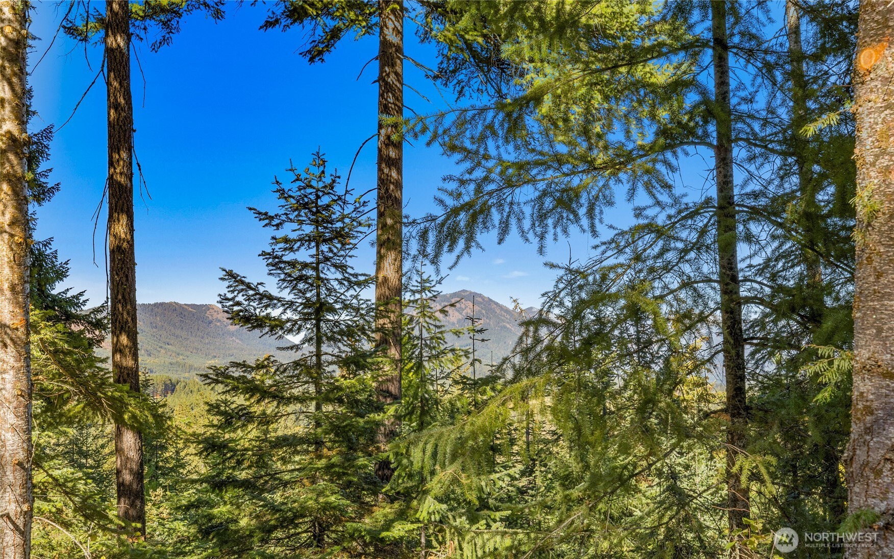 430 Iron Monarch Loop , Cle Elum, WA 98922