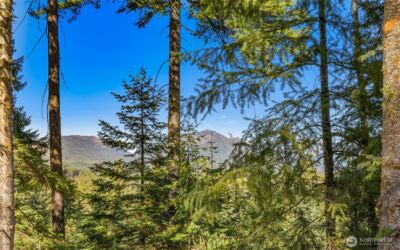430 Iron Monarch Loop , Cle Elum, WA 98922 - Photo 4