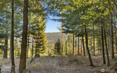 430 Iron Monarch Loop , Cle Elum, WA 98922 - Photo 5