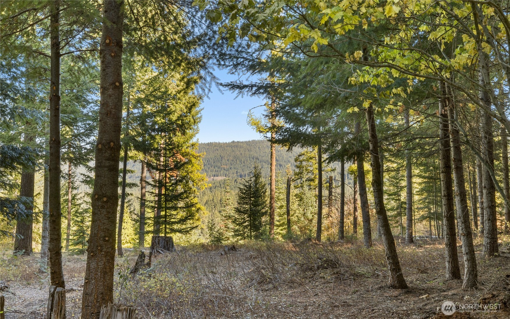 430 Iron Monarch Loop , Cle Elum, WA 98922