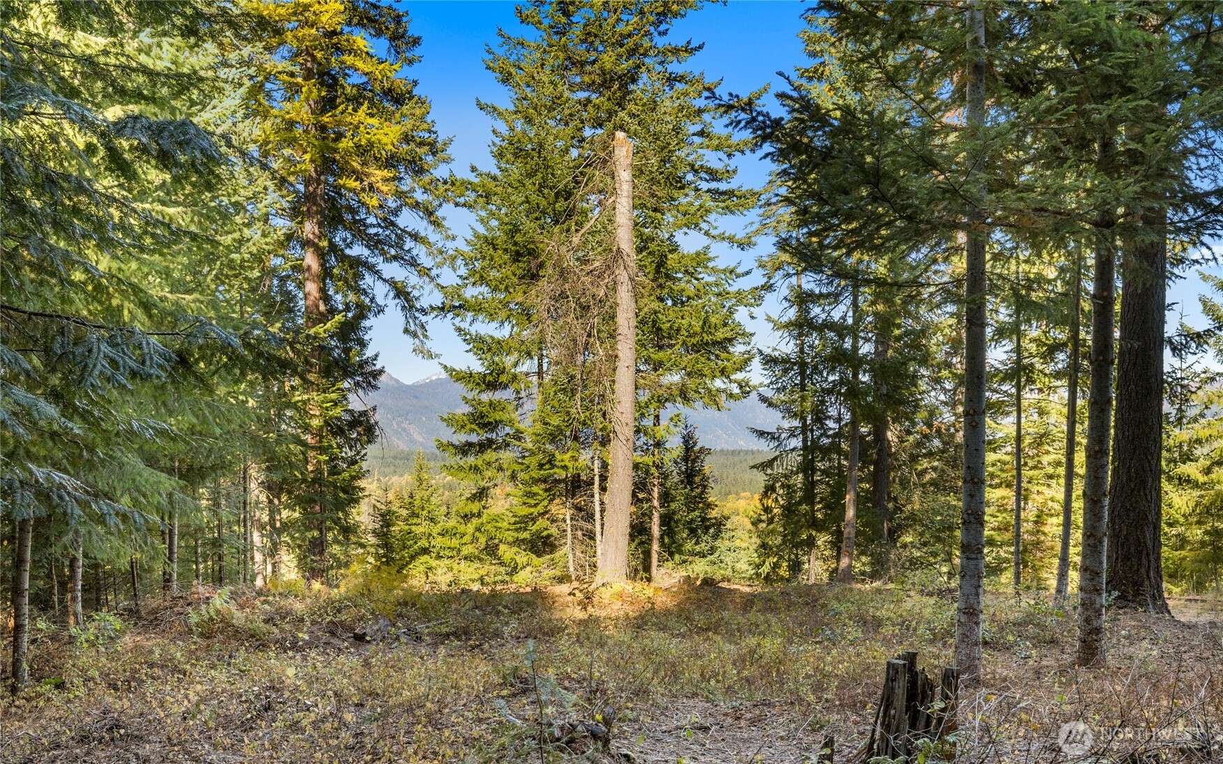430 Iron Monarch Loop , Cle Elum, WA 98922