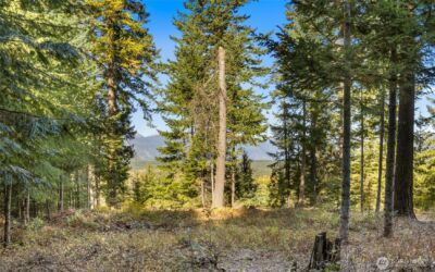 430 Iron Monarch Loop , Cle Elum, WA 98922 - Photo 7