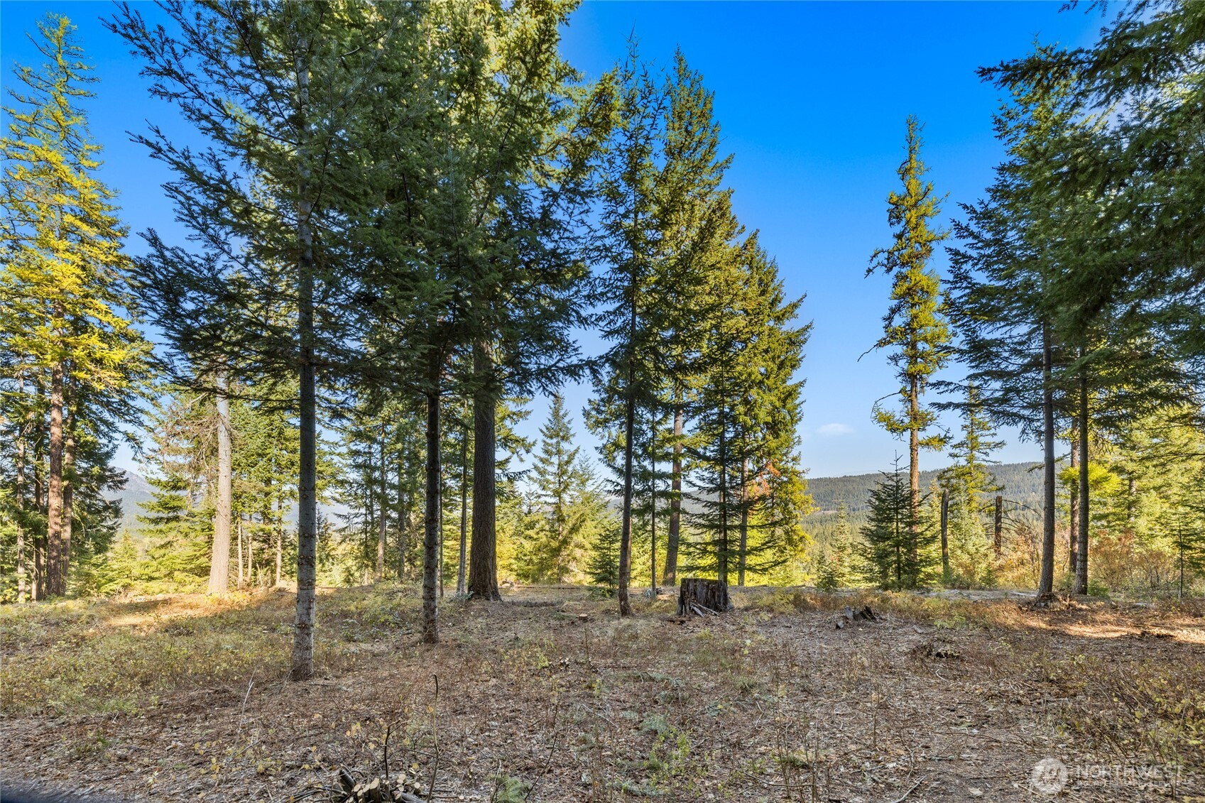 430 Iron Monarch Loop , Cle Elum, WA 98922