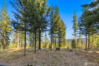 430 Iron Monarch Loop , Cle Elum, WA 98922 - Photo 8