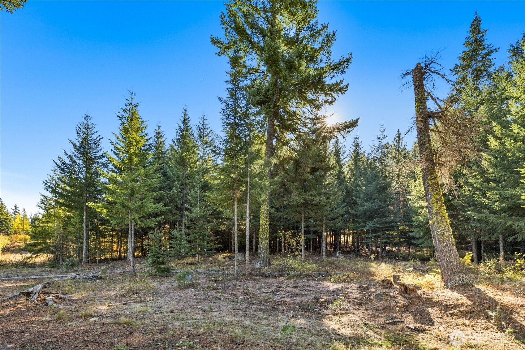 430 Iron Monarch Loop , Cle Elum, WA 98922