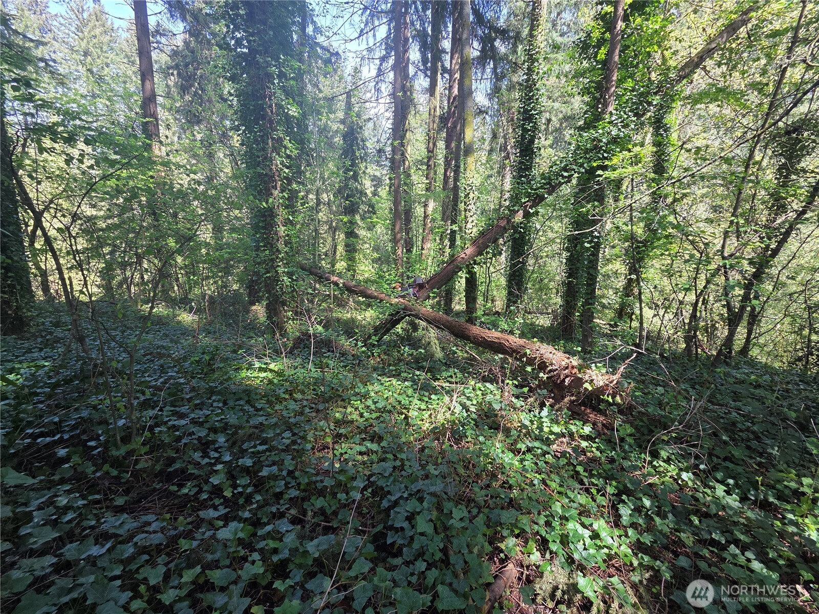 0 NE 45th Avenue , Vancouver, WA 98686