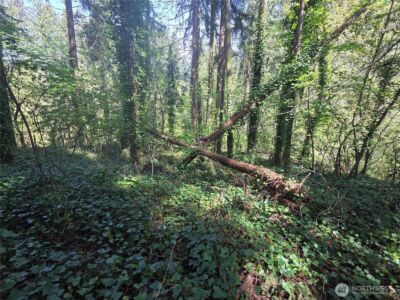 0 NE 45th Avenue , Vancouver, WA 98686 - Photo 12