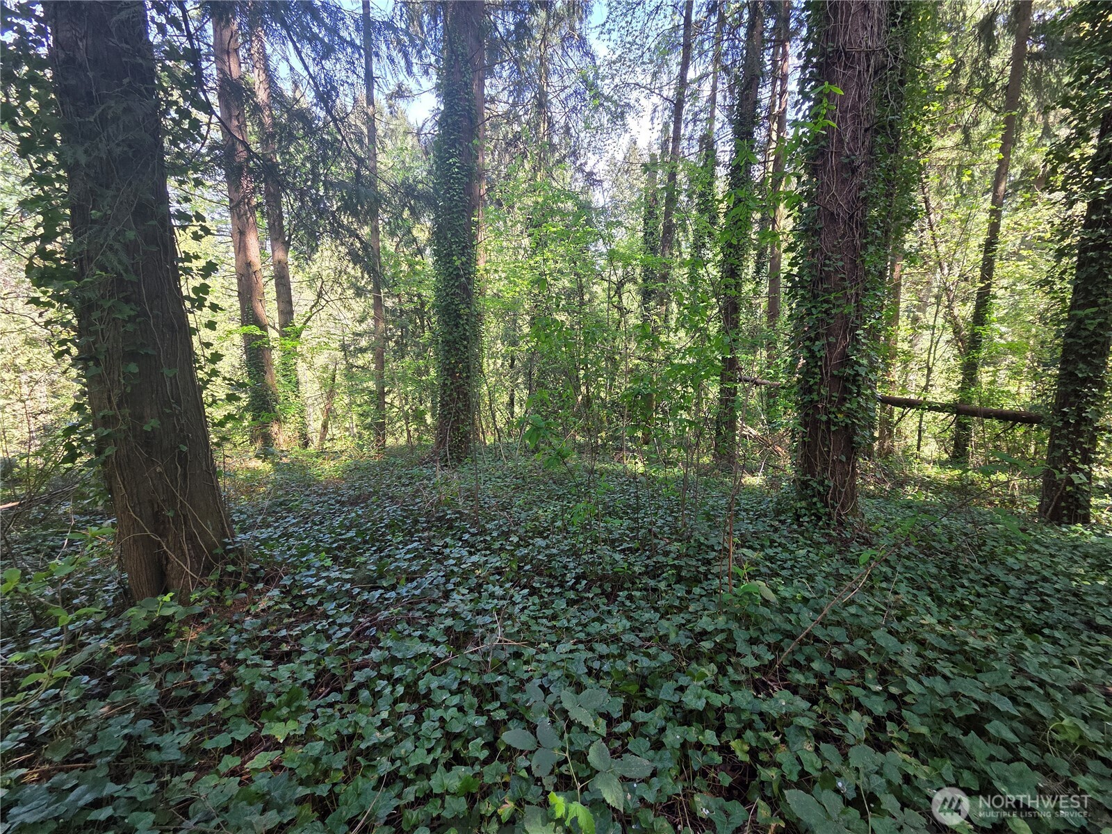 0 NE 45th Avenue , Vancouver, WA 98686