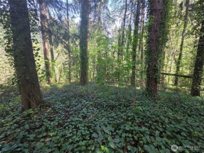 0 NE 45th Avenue , Vancouver, WA 98686 - Photo 13