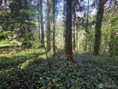 0 NE 45th Avenue , Vancouver, WA 98686 - Photo 14
