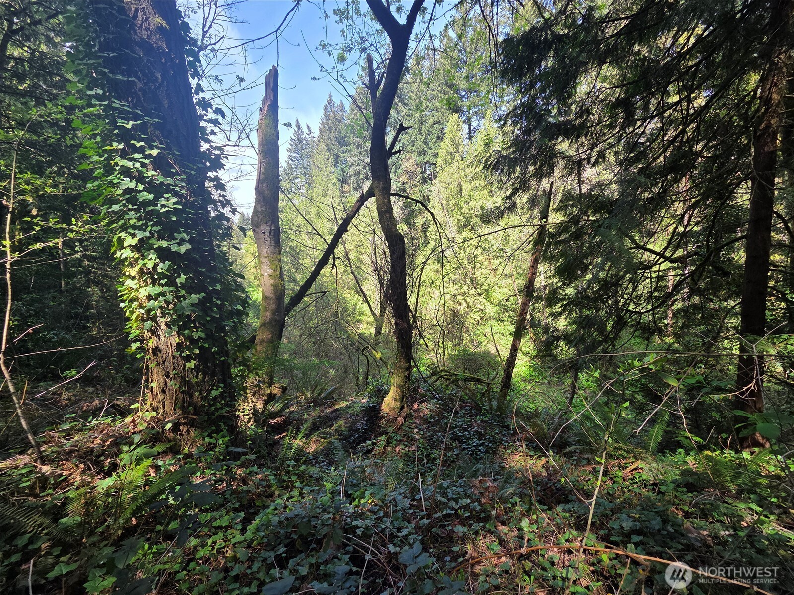0 NE 45th Avenue , Vancouver, WA 98686