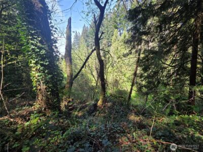 0 NE 45th Avenue , Vancouver, WA 98686 - Photo 15