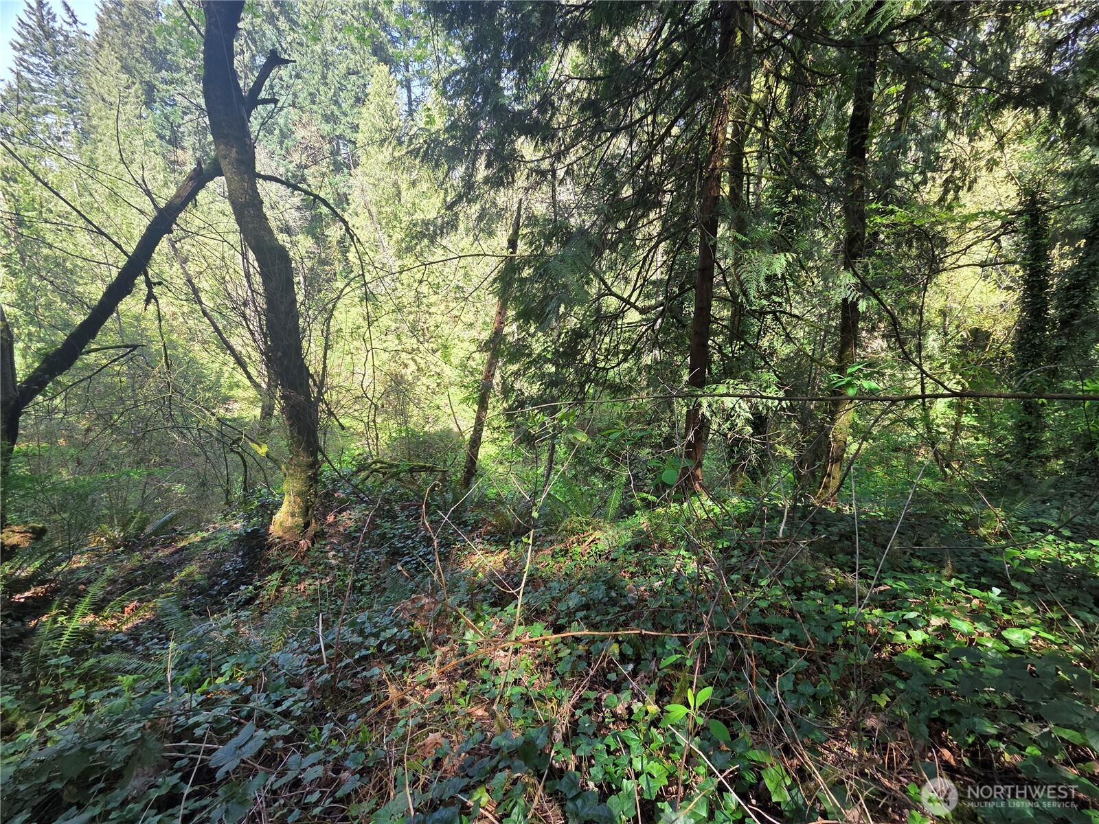 0 NE 45th Avenue , Vancouver, WA 98686