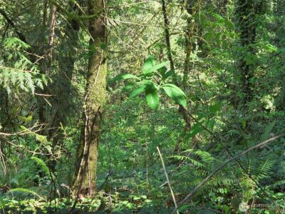 0 NE 45th Avenue , Vancouver, WA 98686 - Photo 18